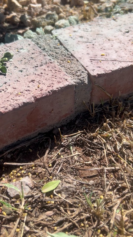 VAST PROS LLC project